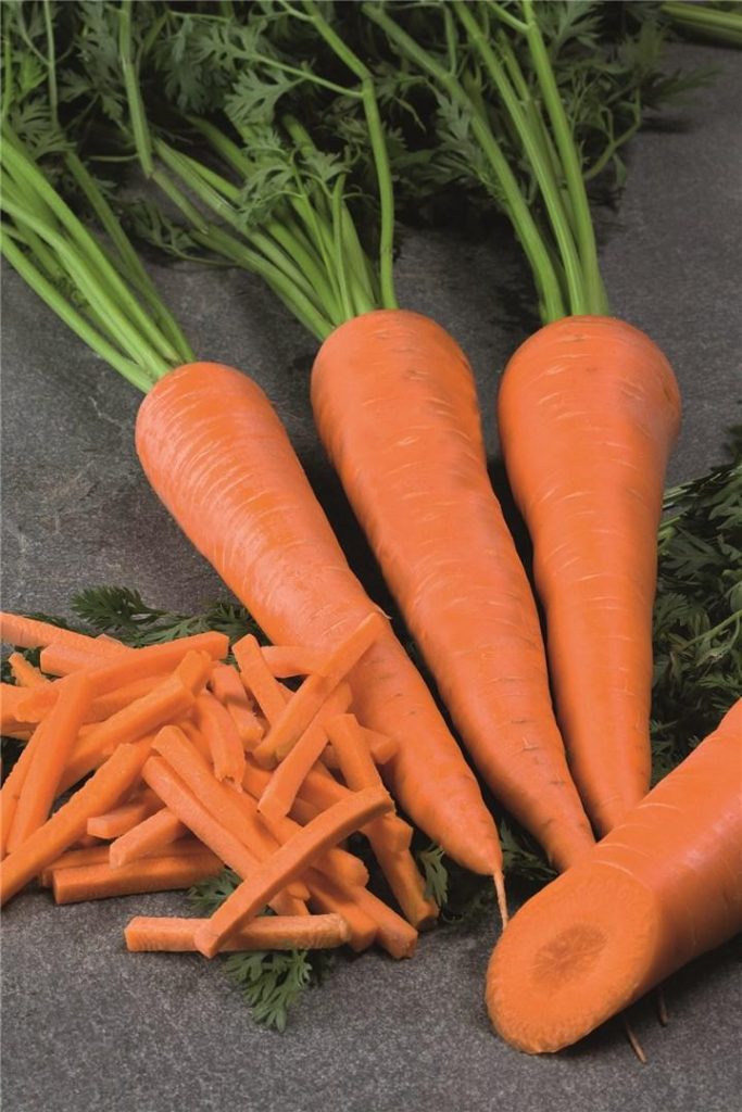 Морковь Bejo Komarno PREC 1,8-2,0